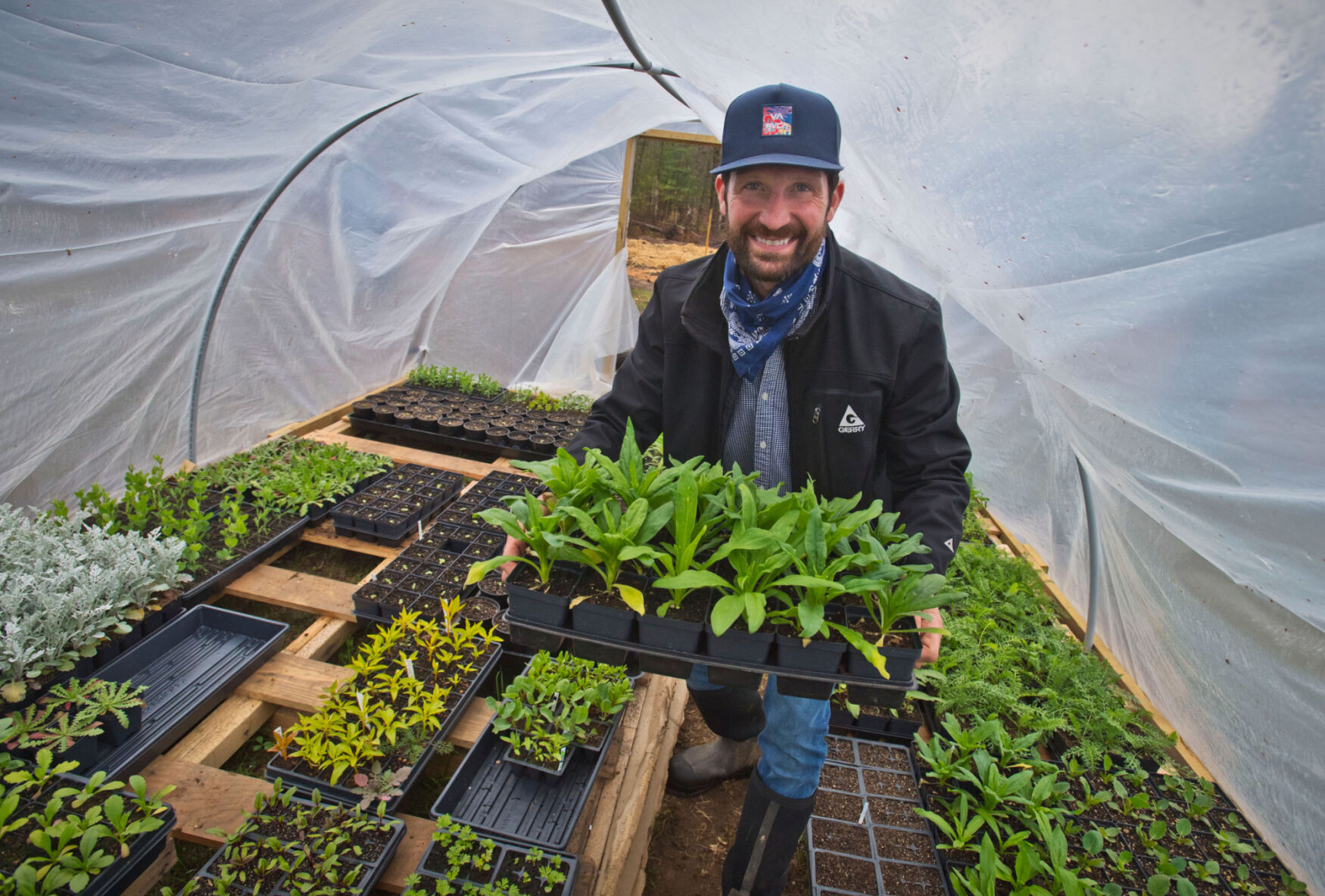 Flower farmers in Hermon getting in the ‘grewve’ for second season